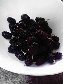 18-06-04_001.jpg