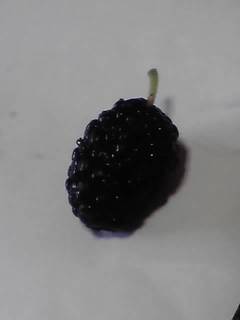 18-06-04_002.jpg