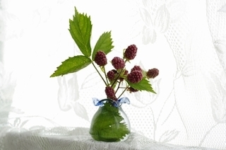 pixta_10995275_S.jpg